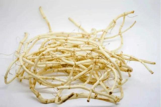 云南人慌到站起来！咱们经常吃的“折耳根”，会引起肝肾中毒甚至癌症？