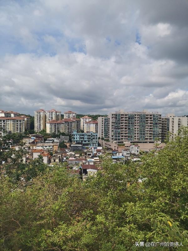 【山楂味的诗】走马观花，看顺德大良。