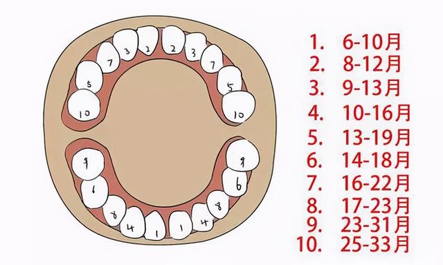 宝宝多大需要刷牙？不同年龄刷牙方法不同，这份护牙指南该看看