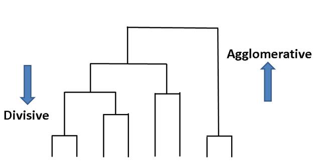 11种最常见的机器学习算法简介