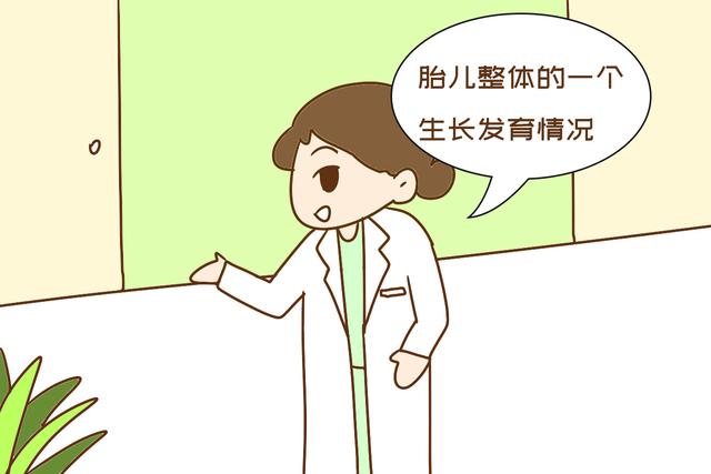 「你好妈咪」做大排畸,以下知识需提前了解,孕妈心中有谱检查才能更顺利