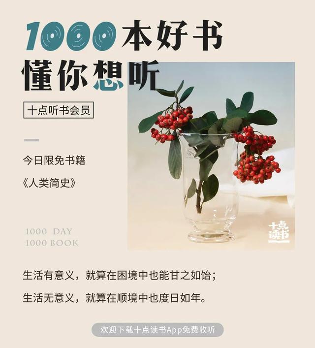 “儿子的脸被同学打到破相”，这位妈妈的做法，连老师都甘拜下风