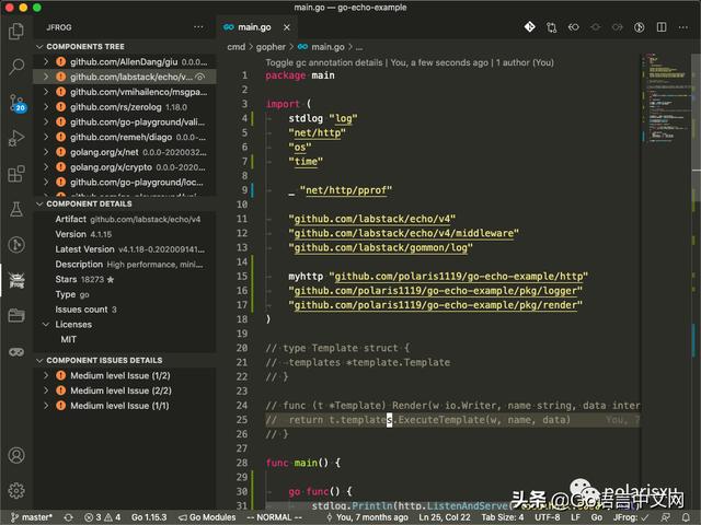 Go Module有漏洞？免费的Go漏洞扫描VSCode插件