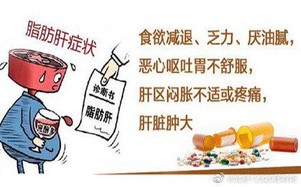 脂肪肝|预防脂肪肝 饮食有讲究
