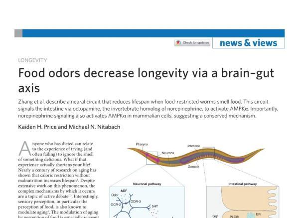 气味|真的？！长寿不仅要少吃，还要少闻