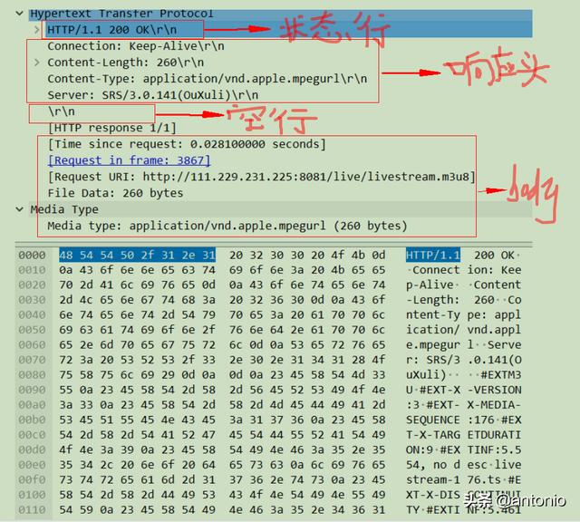 HTTP实战之Wireshark抓包分析