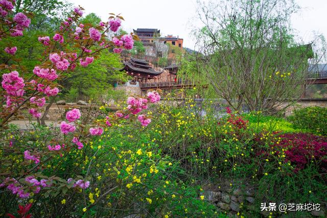 『旅行百事通』我的旅程——武汉周边游,必须到黄陂。走进锦里沟,感受土家情