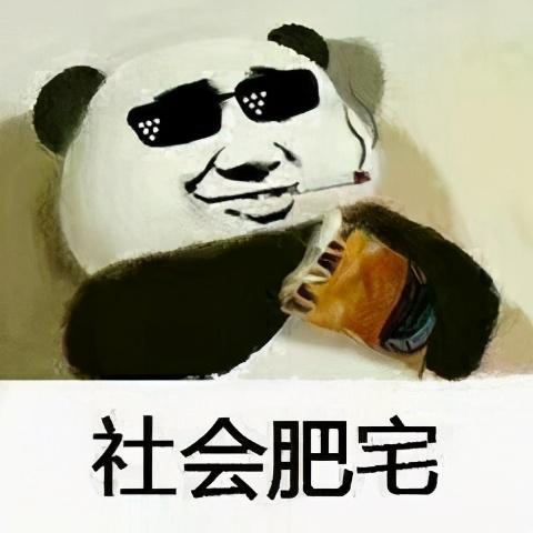 永久免费无广告，全网视频随便看，这工具太强了