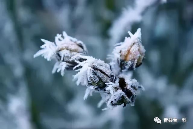 冬天如何养生？注意几个“气”帮你安享一冬