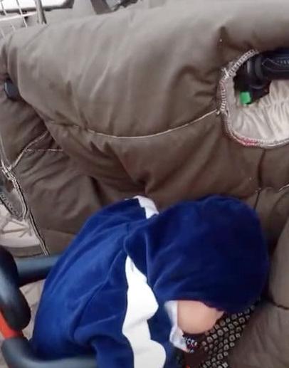 小胖墩电动车上“打瞌睡”走红，看后网友笑出猪叫：哪来的肉球？