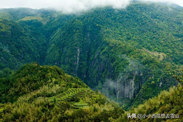 旅行百事通@福建最美的梯田之一,藏在宁德福安白云山北侧,极为原生态未开发