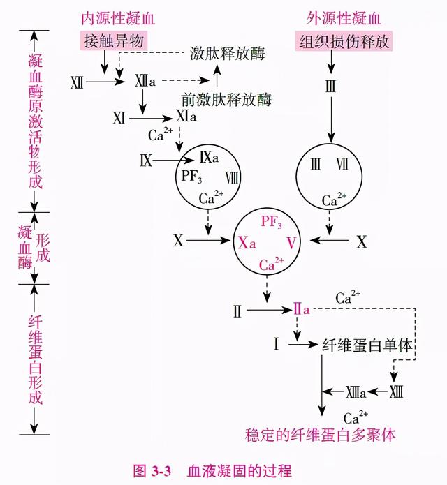 大夫，抗栓药物会影响手术吗？