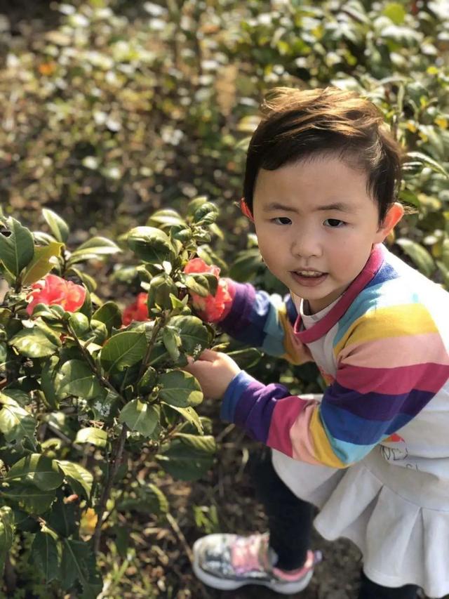 「你的育儿经」来自南京幼儿园的“春天散文诗”