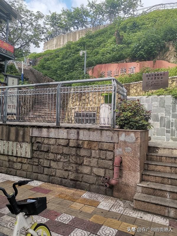 【山楂味的诗】走马观花,看顺德大良。