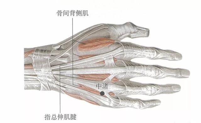 12输穴、对付全身的疼痛，很简单，几分钟就学会