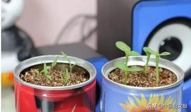 中国妇女报：特殊时期 特别家教 | 战“疫”动起来（四十一）