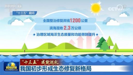 “十三五”成就巡礼：我国初步形成生态修复新格局