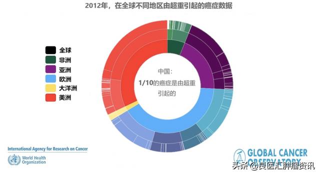 觉得自己身材不错？其实50%多的中国人已超重或肥胖