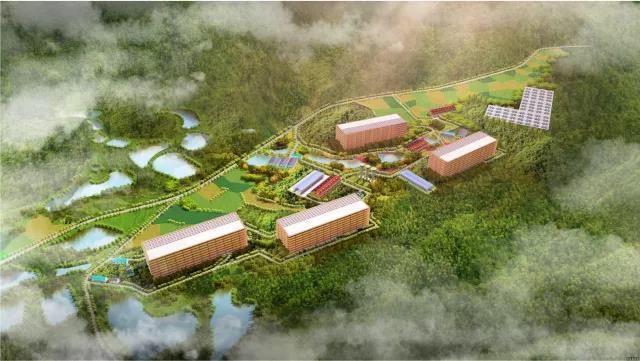 广州|老夏观察26 | 广州这项数据，26年一遇