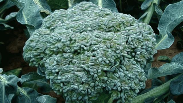 「陌上花」这9道菜千万别这样吃, 全是虫! 夏天很多孩子都爱吃! 快看看吃对了吗