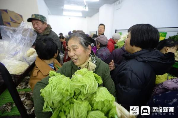 白菜|曾经，山东人的阳台囤住了整个冬天