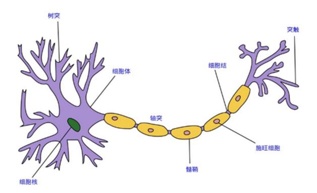 你的育儿经▲孩子出生头三年，家长做到“3要2不要”，轻松培养孩子高情商