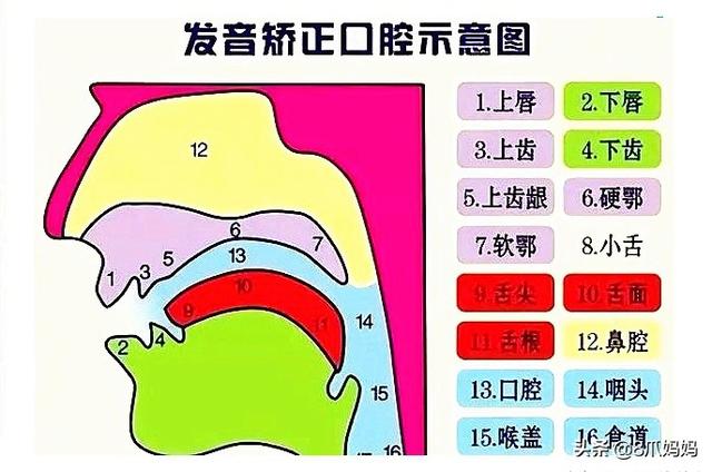 [你的育儿经]宝宝语言发育迟缓，学会这2点，在家也能教孩子