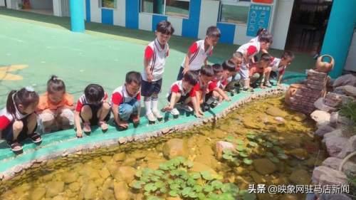 超级宝妈|西平县直第二幼儿园“六一”系列活动纪实