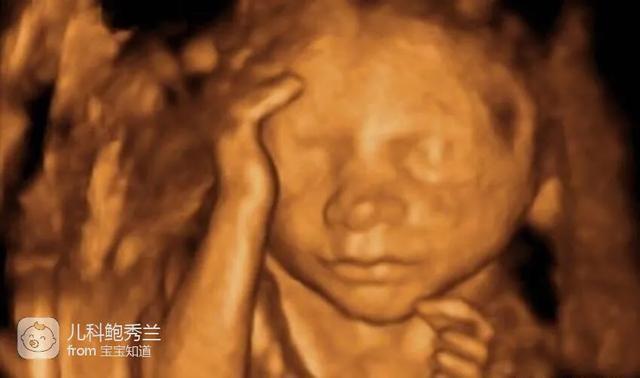 你的育儿经|孕妇做四维时胎儿为什么会捂着脸？