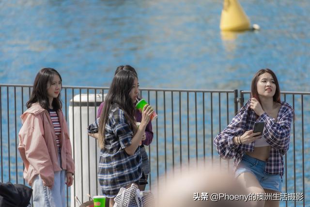 怼人一时爽，一直怼人一直爽，悉尼街头怼人街拍