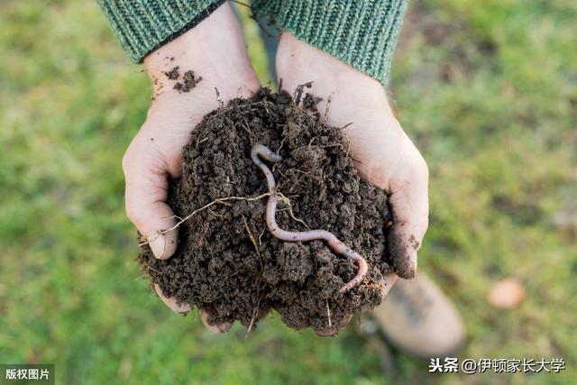 [你的育儿经]明天立夏 | 挂鸡蛋、称体重，立夏习俗讲给孩子听，涨知识！