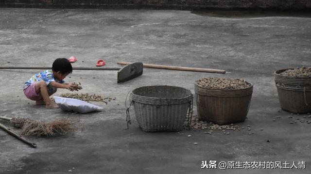 超级宝妈@在农村长大的孩子要学会这些东西，父母督促，学会很受益