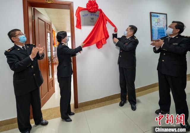 南宁海关成立RCEP研究室 服务国内产业开拓国际市场