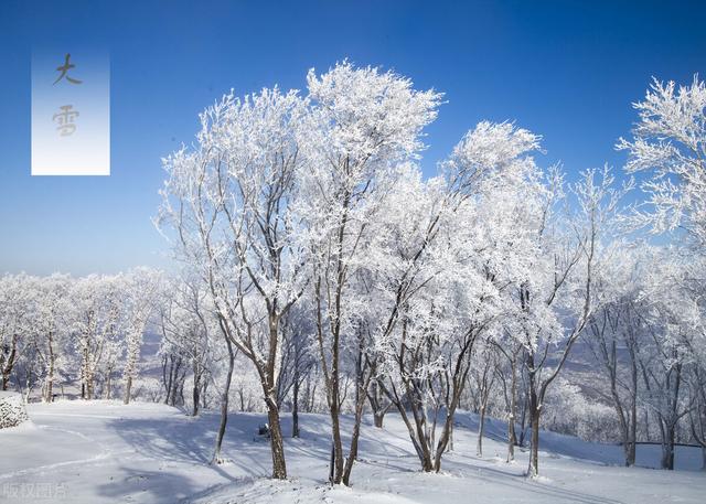 今日大雪，中医教你如何养生