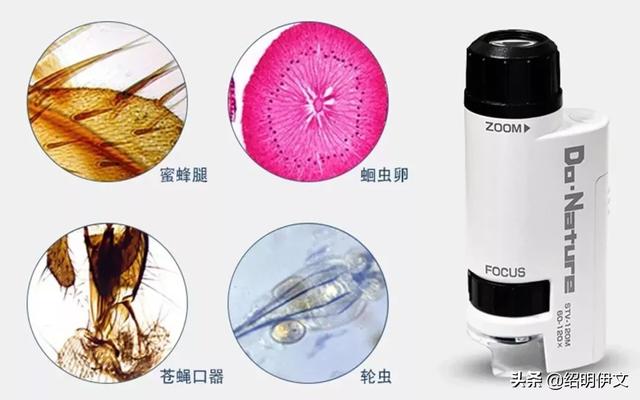 稼轩|六一节把这两款学习娱乐兼顾的礼物送给孩子，孩子学习优秀又开心