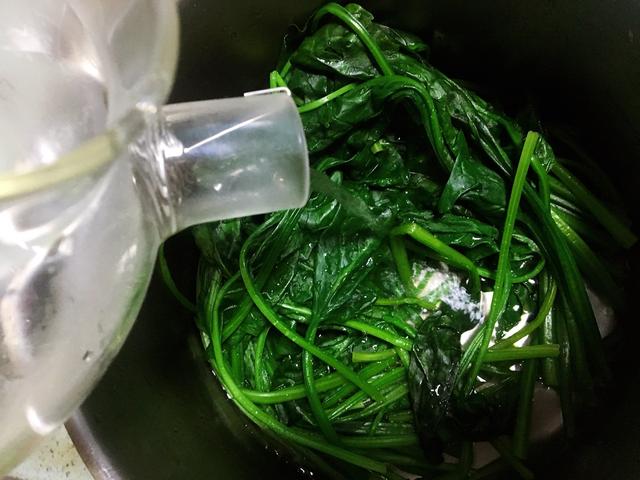 大鱼大肉吃得太腻，来盘凉拌菠菜，营养好吃还解腻