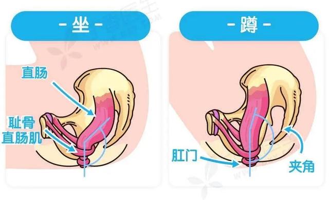 便秘别只知道吃香蕉！！11 个缓解便秘的方法，总有一个用得上