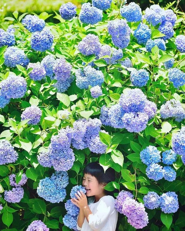 相亲相爱|暖心爸爸晒娃，却把孩子拍成宫崎骏动画，太治愈了