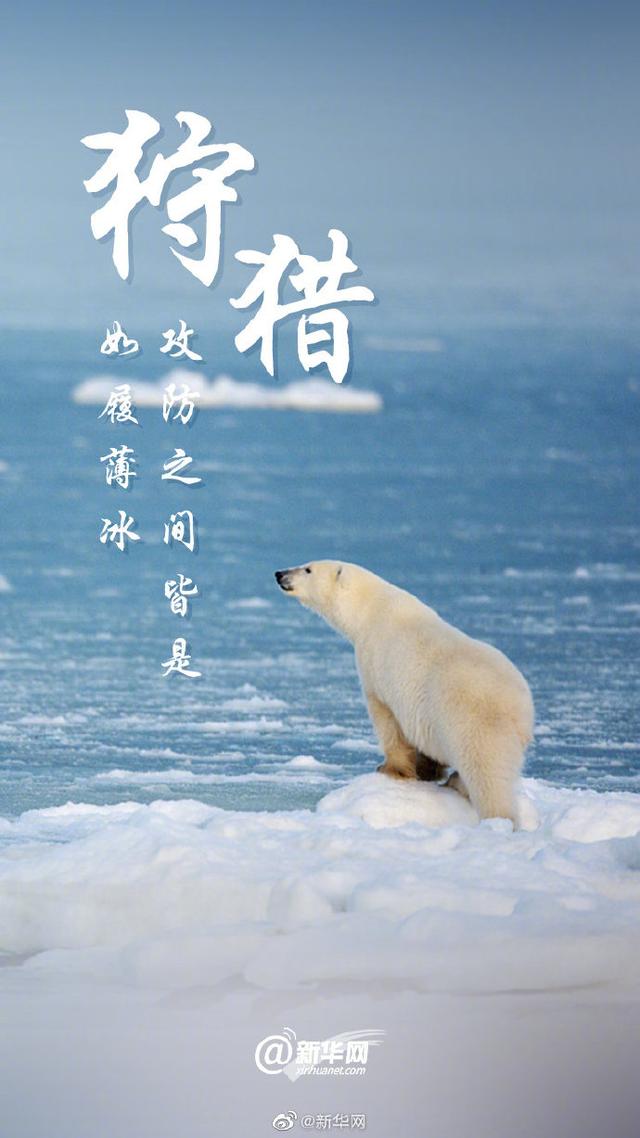 关爱环境 刻不容缓|光明网