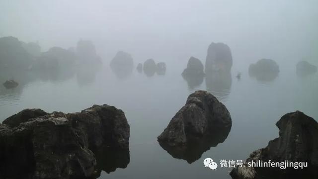 「趣旅游」【雾雪霜华】石林湖的白雾凉波