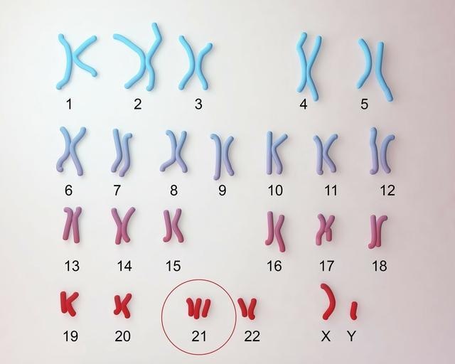 『健康学堂』90后孕妈第一次怀孕就胎停咋回事?听听医学专家是怎么分析的