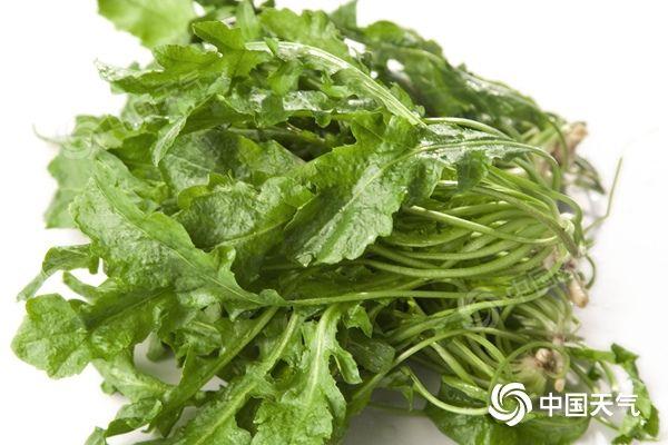 春味|此味只应春天有！这些舌尖上的春味，你偏爱哪个？