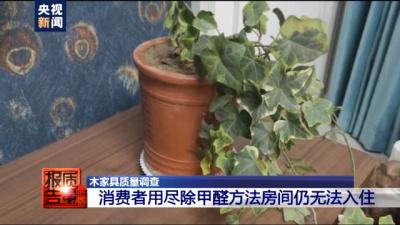 家具|新房散味儿两年还不能住 家具甲醛超标了