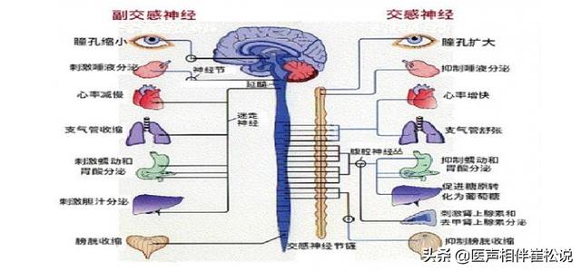 心理疾病|精神可以影响神经，到底是精神病还是神经病？