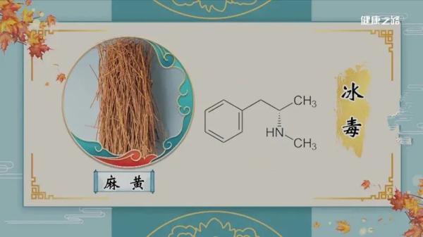 附子|是毒药也是救命药！这4种药材，您用对了吗？