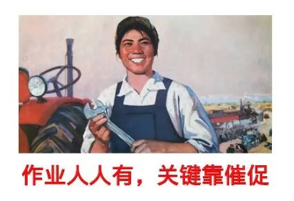暖先生格调：“催什么催，老师好烦！”