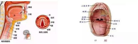 真·如鲠在喉！济一2个月小孩嗓子里长了巨大肿瘤