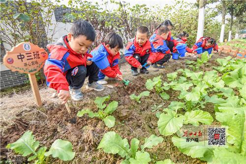 劳动也是教育，这个幼儿园里有个“小农场”