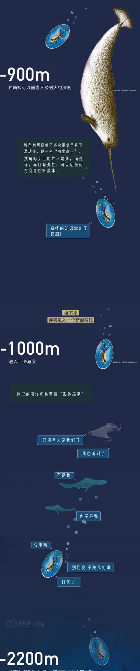 #旅行百事通#【世界海洋日】海底最深处能看见什么