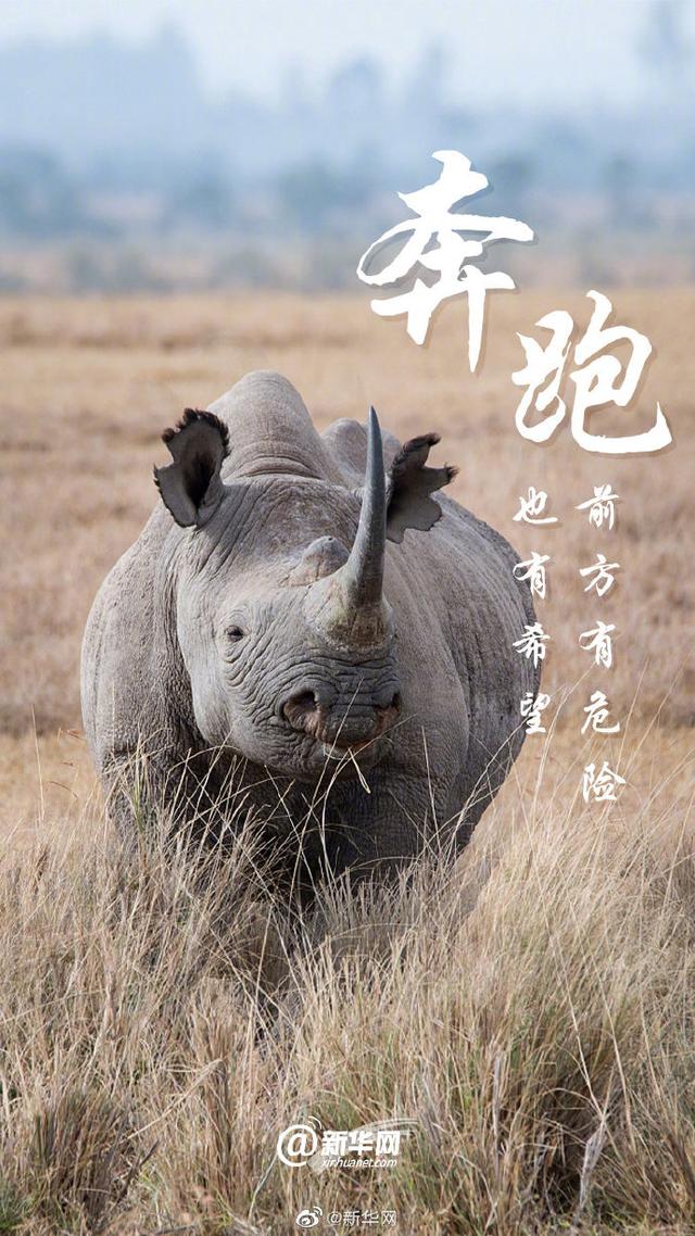 关爱环境 刻不容缓|光明网